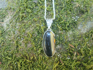 Bumblebee Jasper