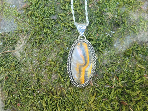 Bumblebee Jasper