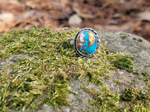 Spiny Oyster Turquoise