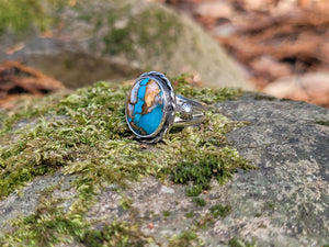 Spiny Oyster Turquoise