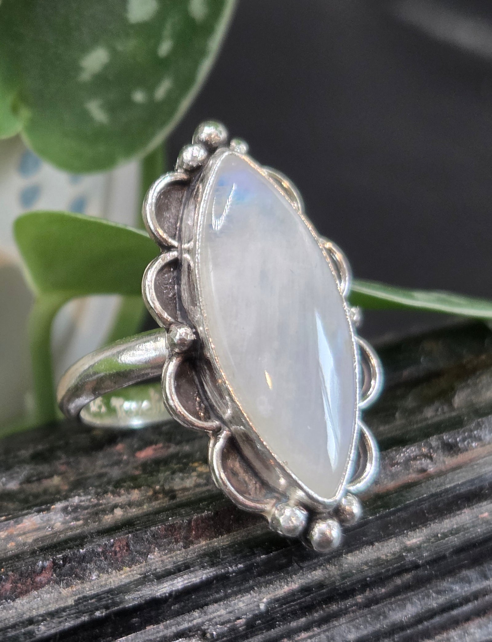 Rainbow Moonstone