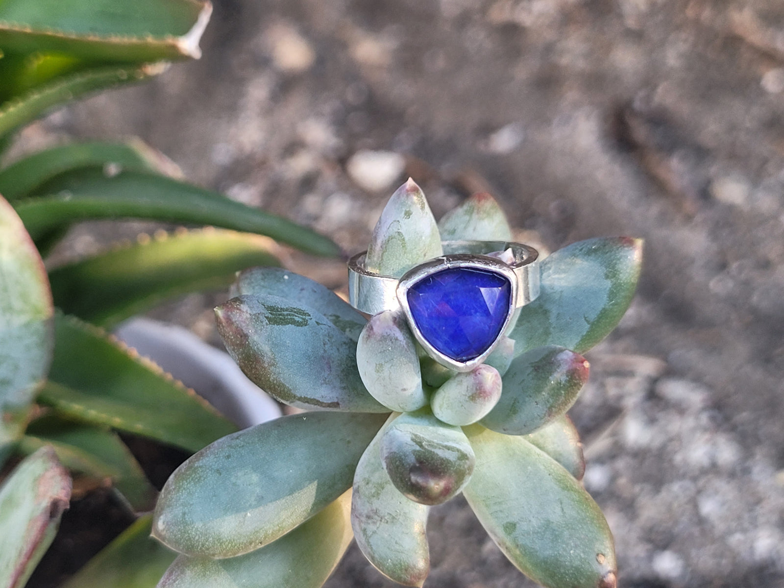 Lapis Lazuli W/Clear Quartz Topper