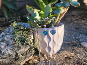 Blue Apatite W/Clear Quartz Topper