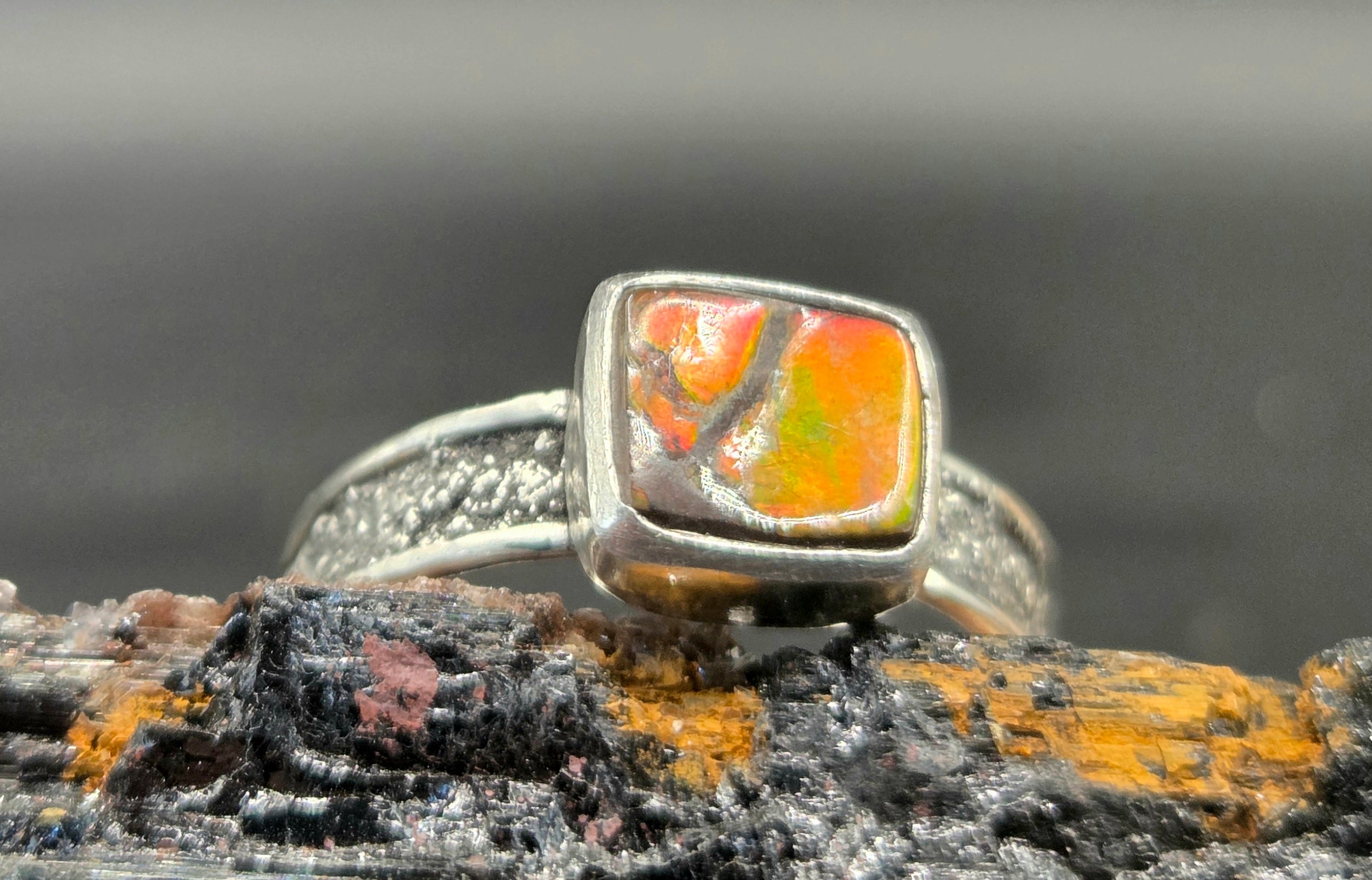 Silver Dusted Ammolite