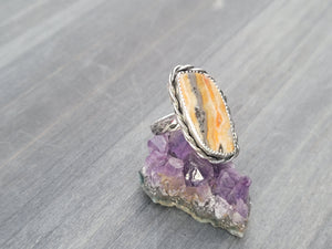 Bumblebee Jasper
