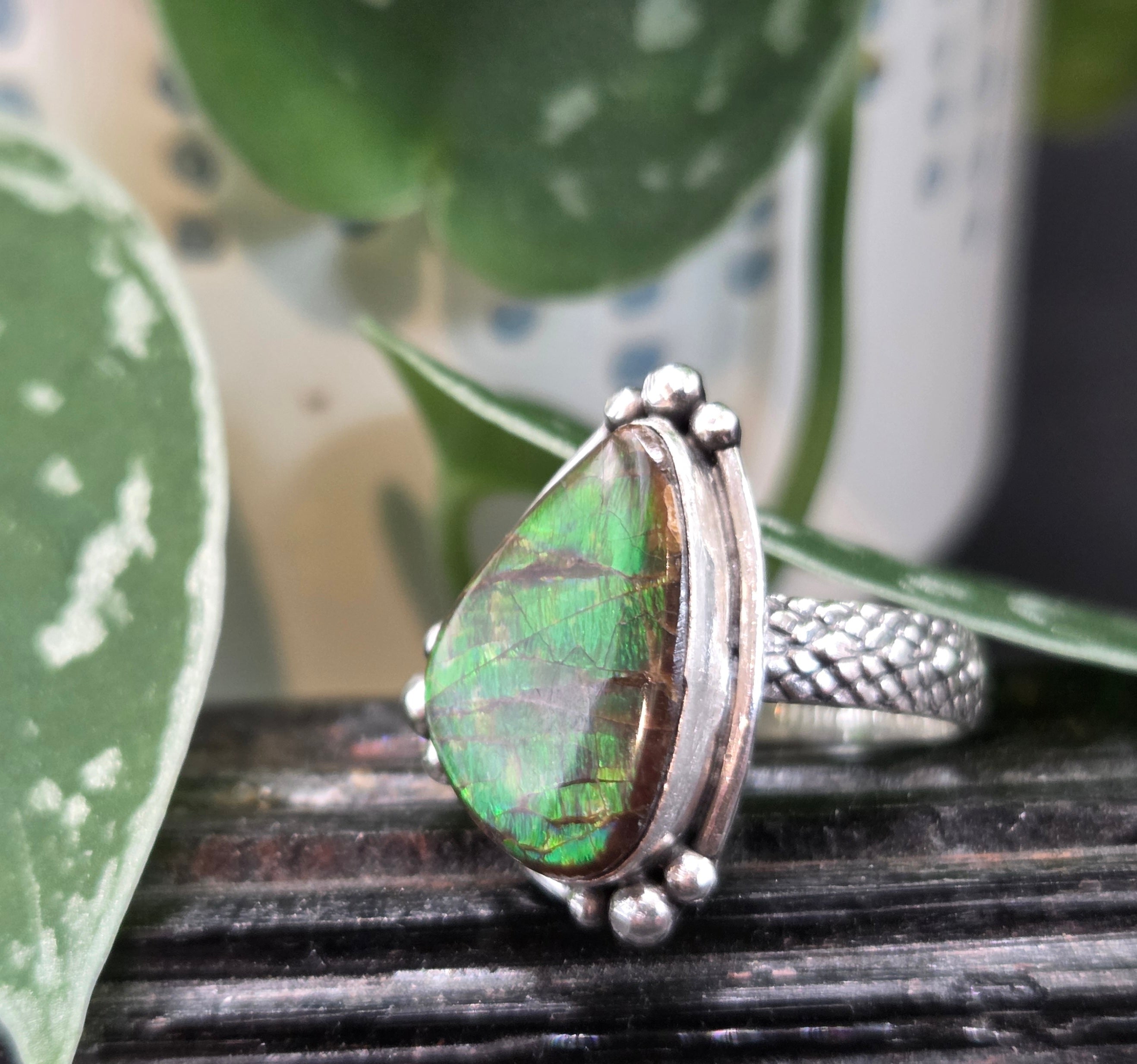 Ammolite