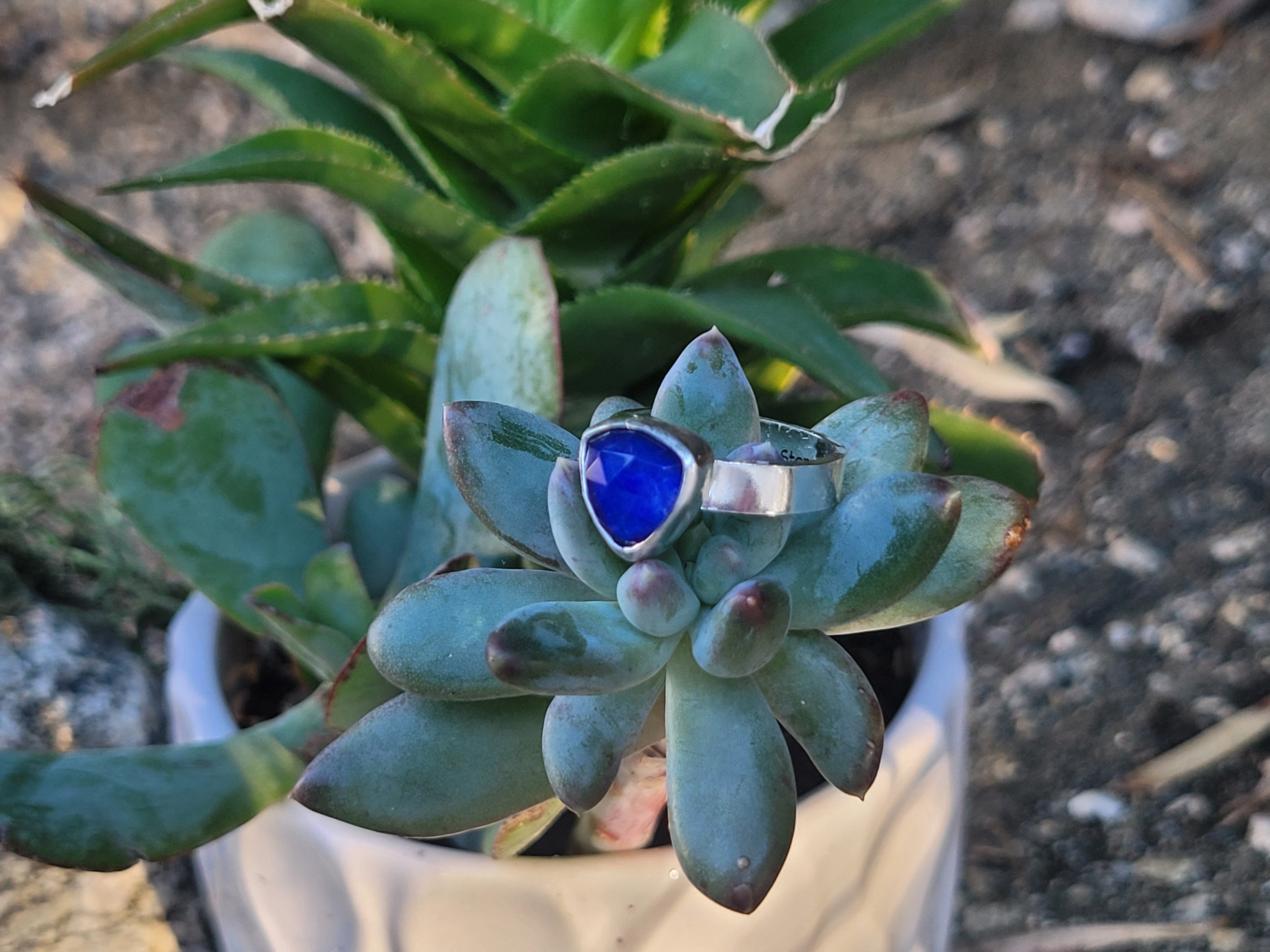 Lapis Lazuli W/Clear Quartz Topper