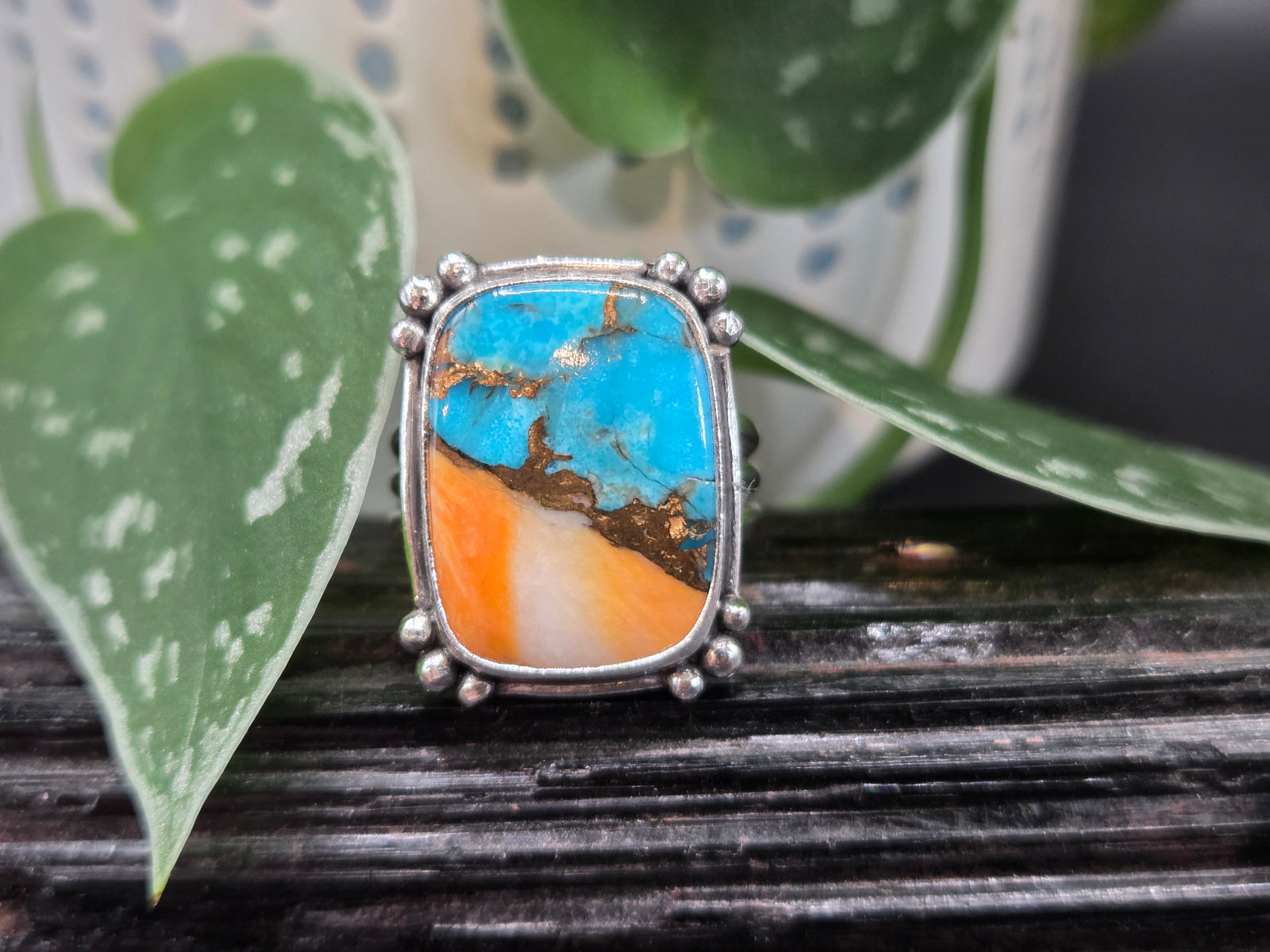 Spiney Oyster Turquoise