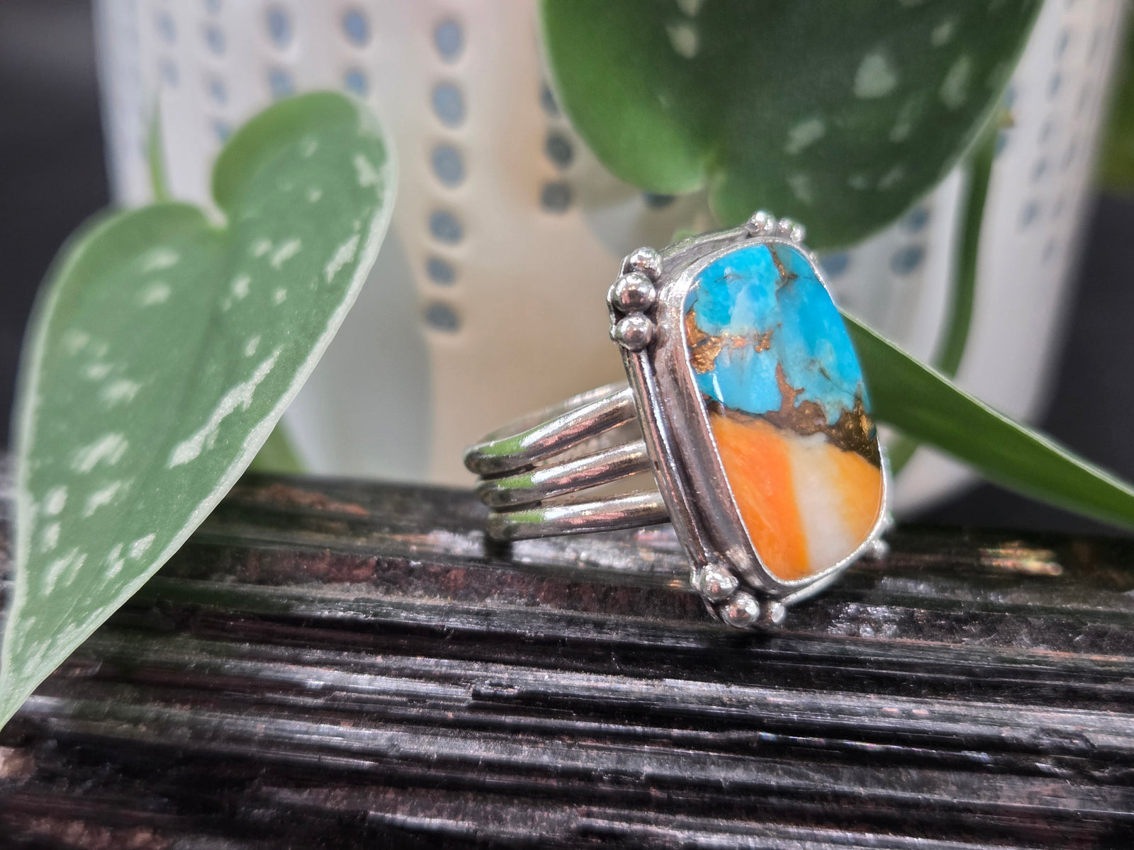 Spiney Oyster Turquoise