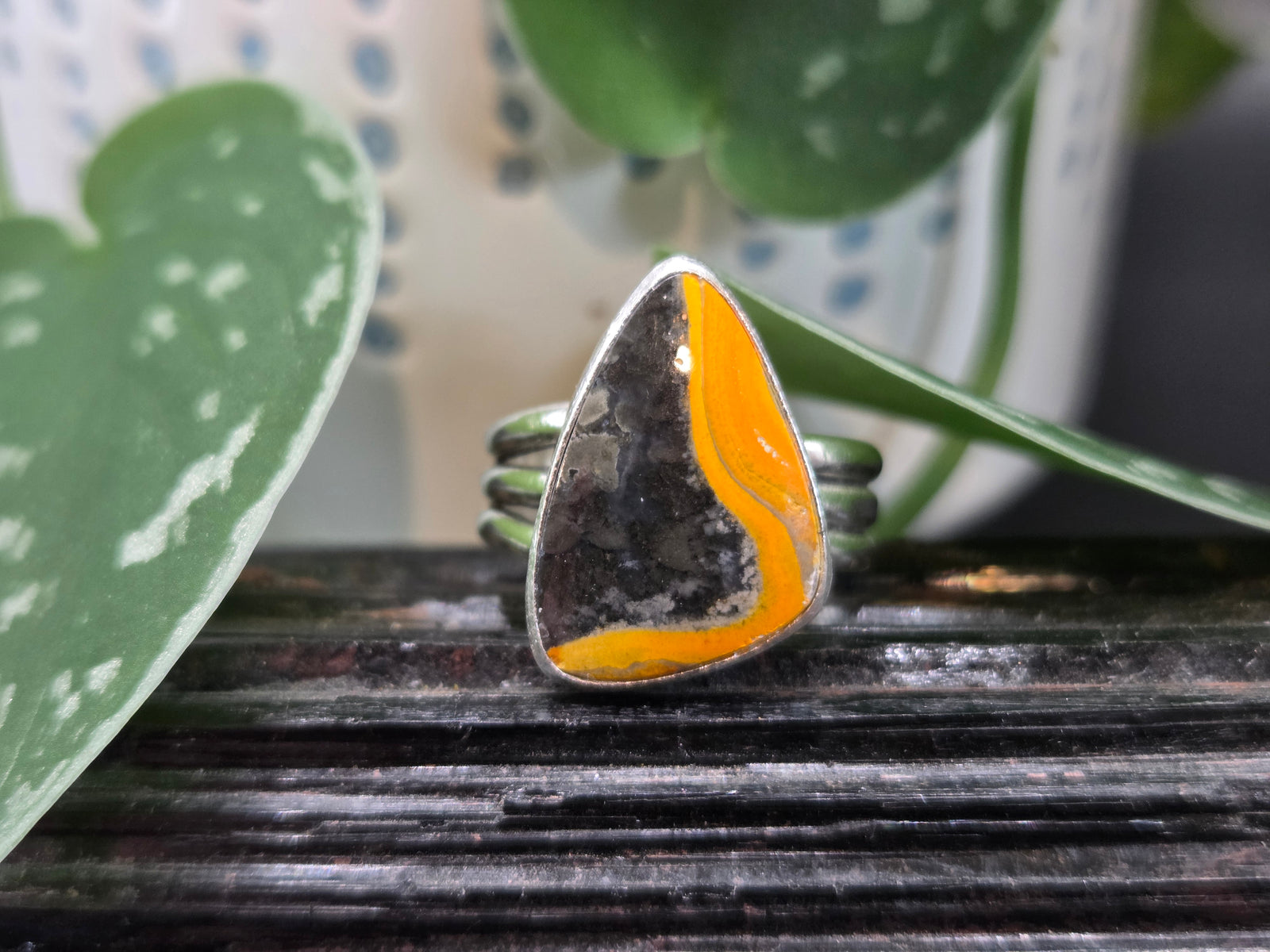 Bumblebee Jasper