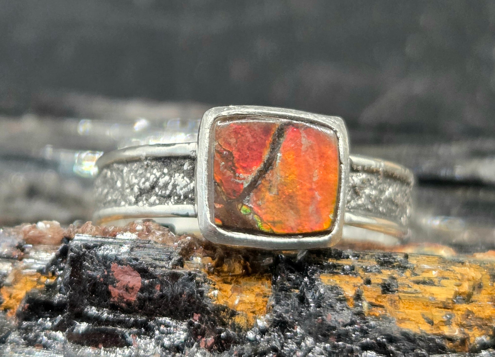 Silver Dusted Ammolite