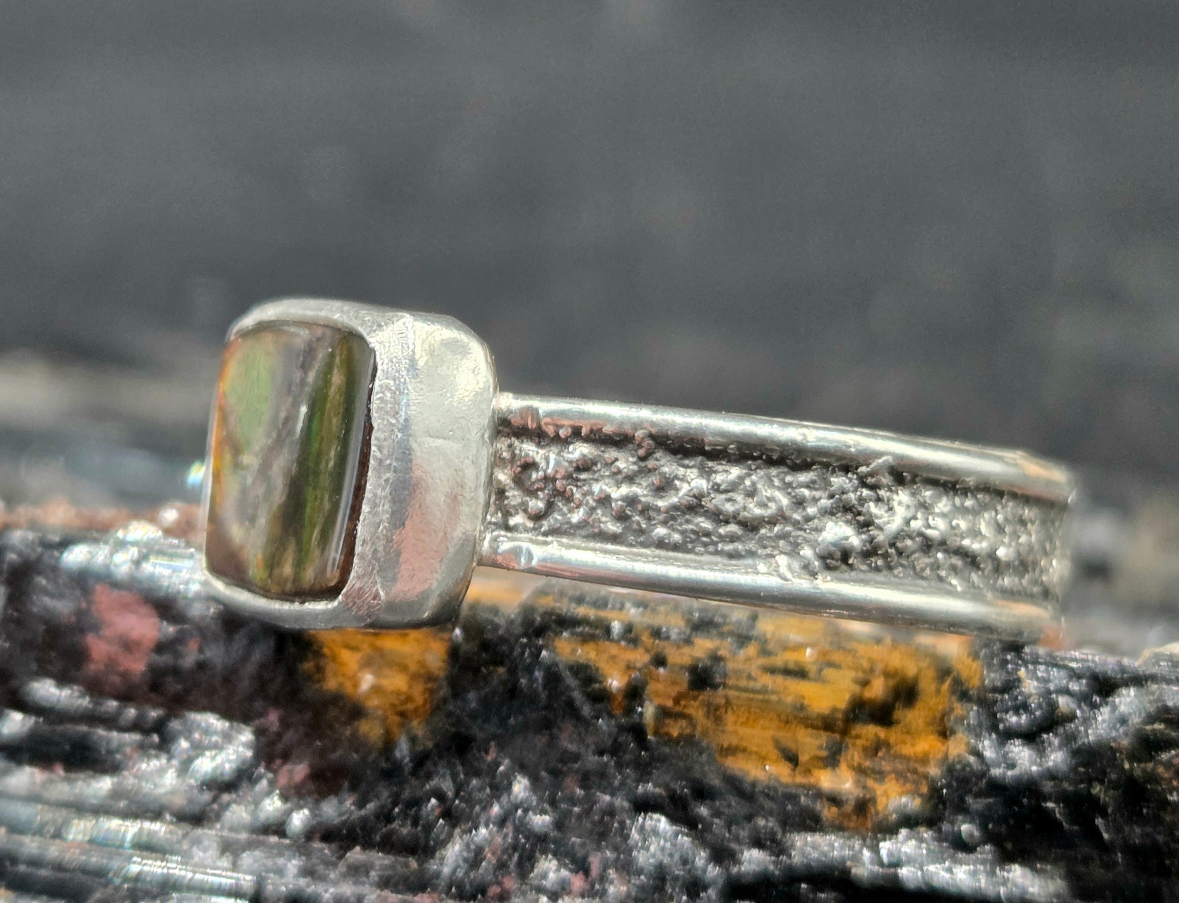 Silver Dusted Ammolite