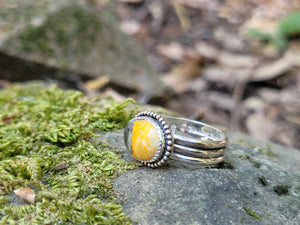 Bumblebee Jasper