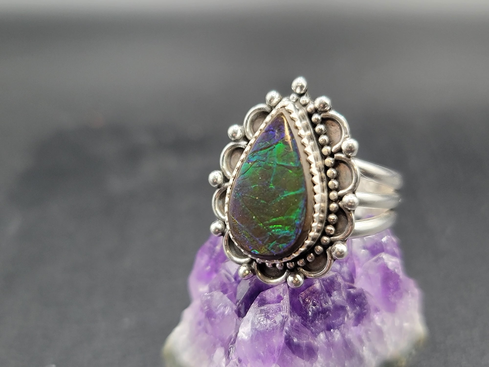 Frozen In Time Ammolite