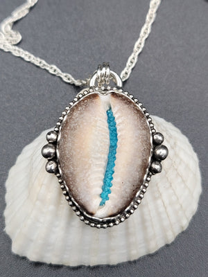 Cowrie Shell With Turquoise Inlay