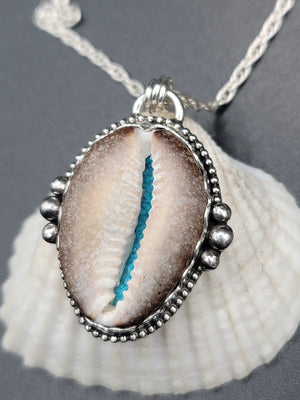 Cowrie Shell With Turquoise Inlay