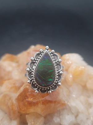 Frozen In Time Ammolite