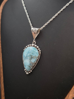 Larimer Pendant