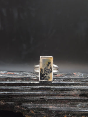 Scenic Agate