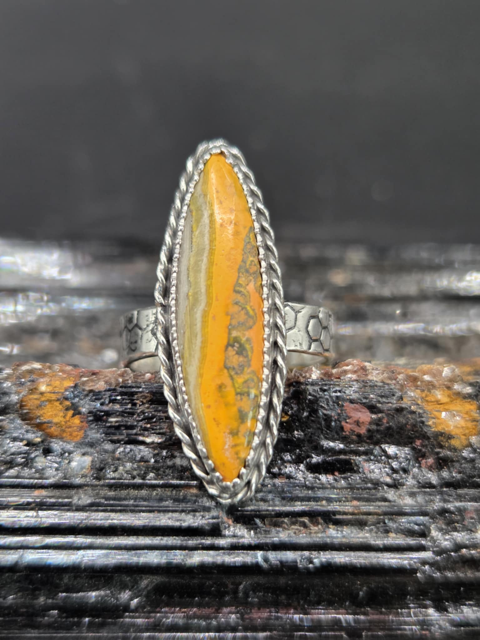 Bumblebee Jasper