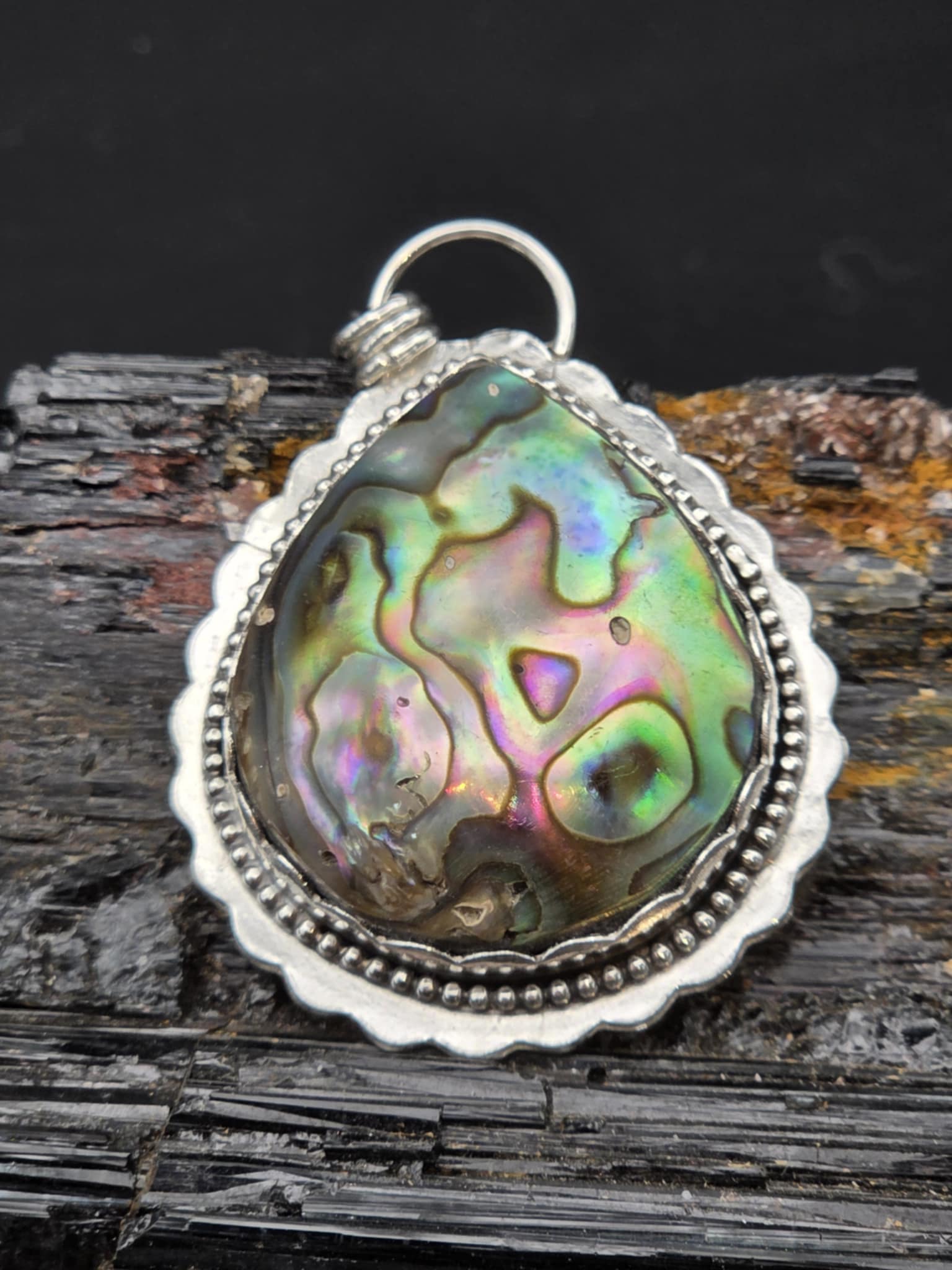 Abalone Shell