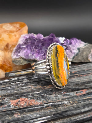 Bumblebee Jasper