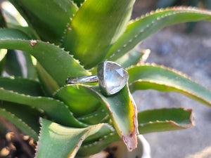 Labradorite With A Quartz Crystal