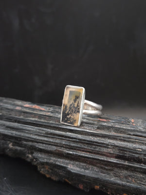Scenic Agate