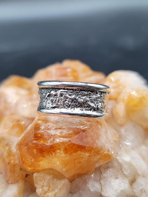 Silver Dusted Ring Band