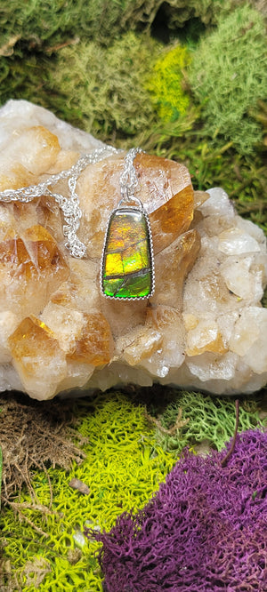 Ammolite