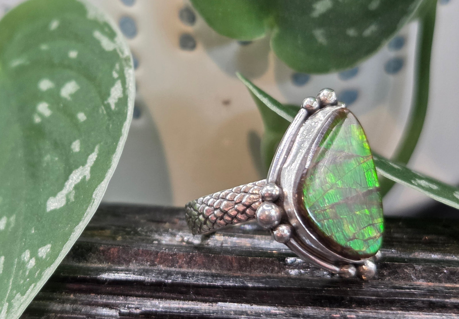 Ammolite