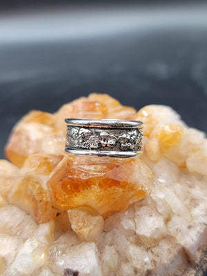 Silver Dusted Ring Band