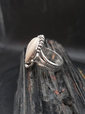 Cowrie Shell Inlayed W/ Aurora Opal