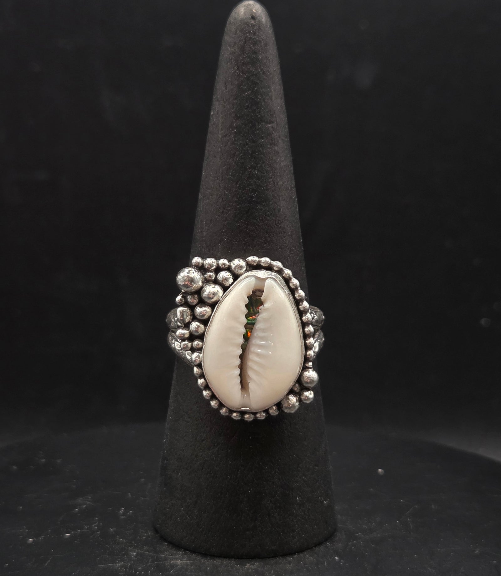 Cowrie Shell