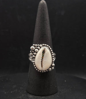 Cowrie Shell