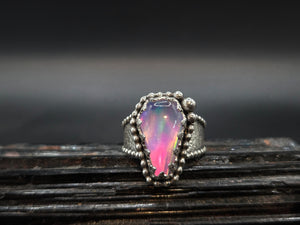 Barbie's Dream Coffin