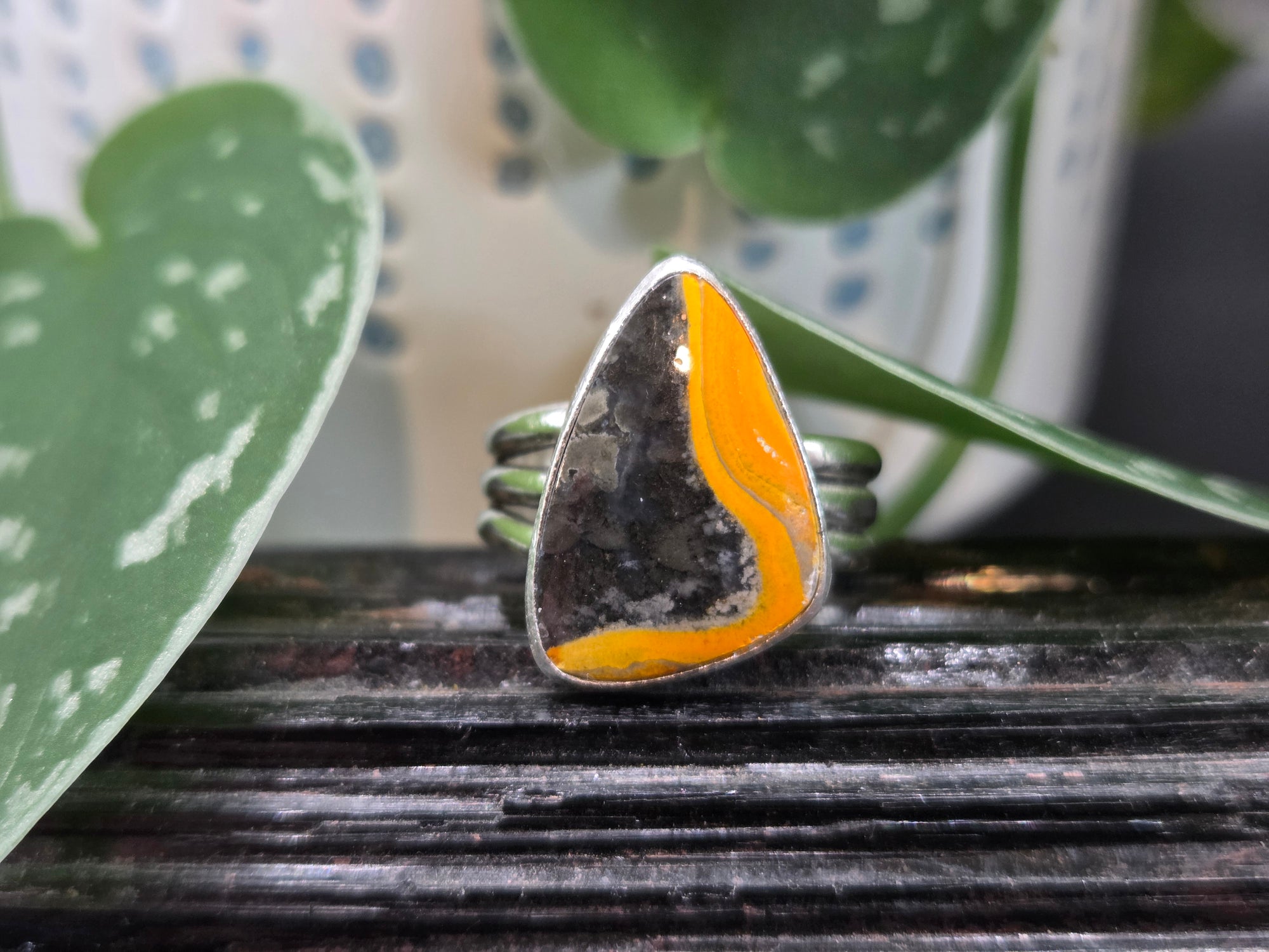 Bumblebee Jasper