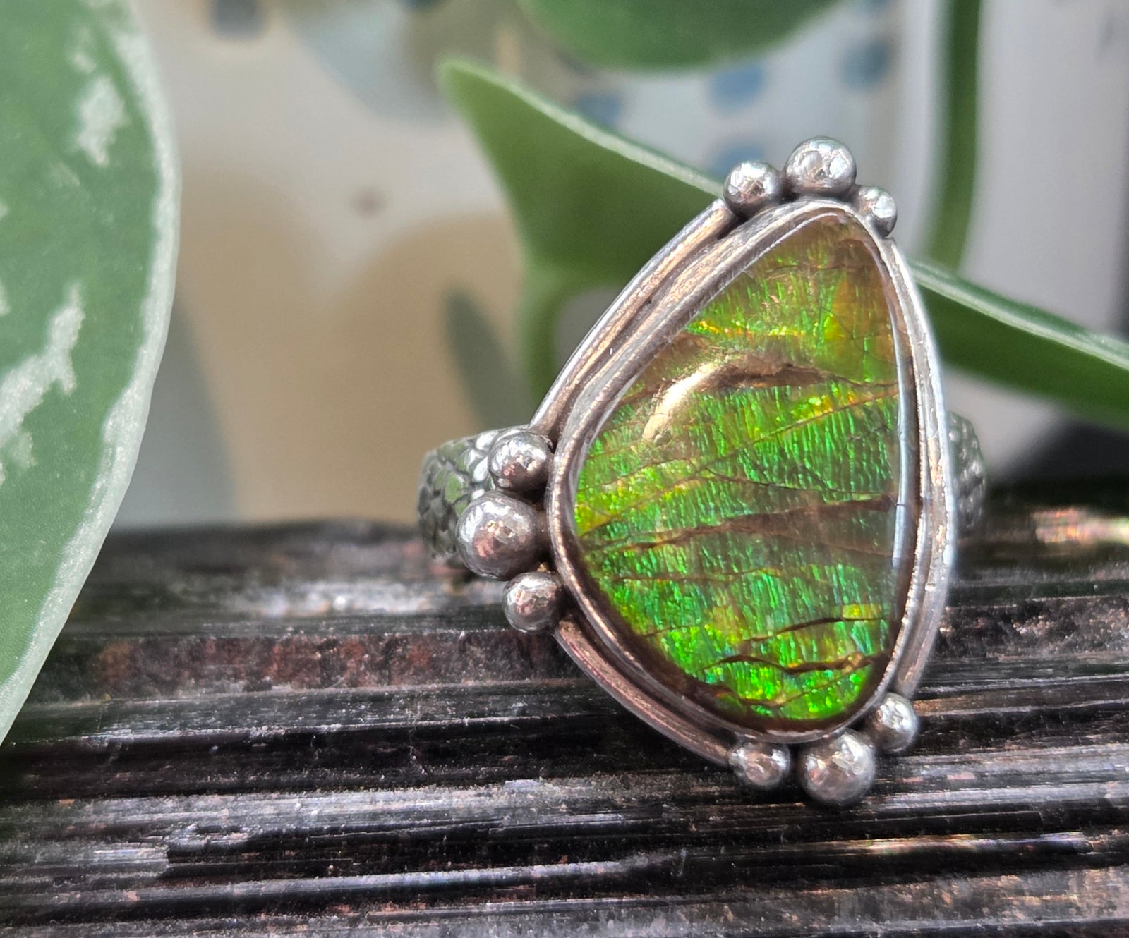 Ammolite