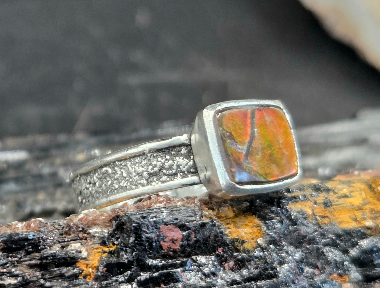 Silver Dusted Ammolite