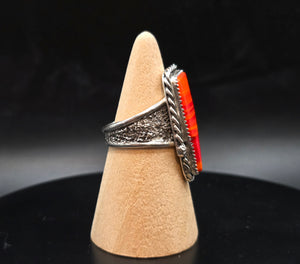 Fucking Rosarita Bolt ⚡️