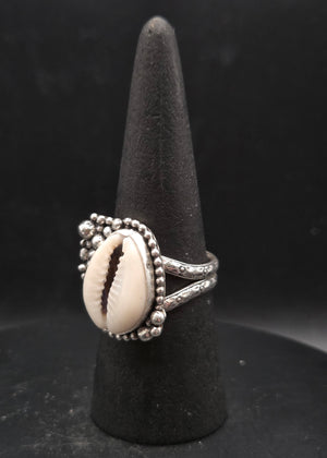 Cowrie Shell
