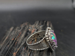 Barbie's Dream Coffin