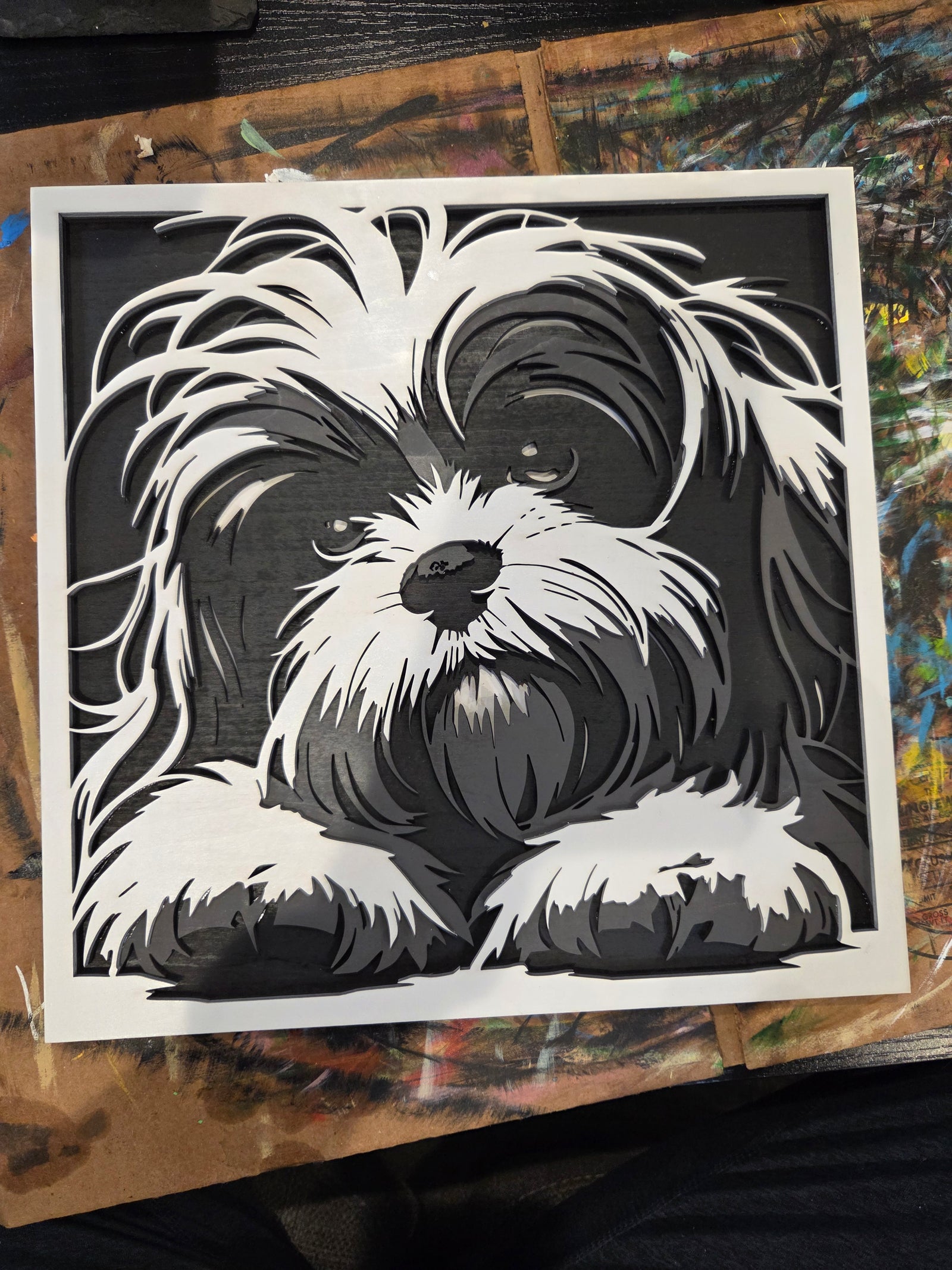 Shih tzu