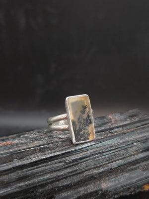 Scenic Agate