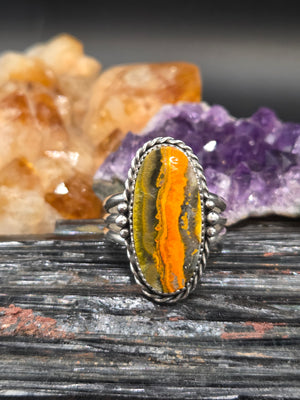 Bumblebee Jasper