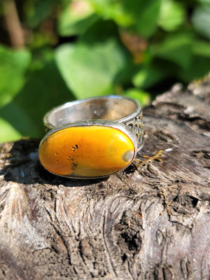 Bumblebee Jasper