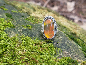 Frozen in Time Ammolite