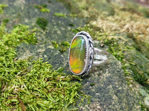 Frozen in Time Ammolite